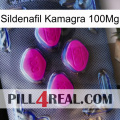 Sildenafil Kamagra 100Mg 02